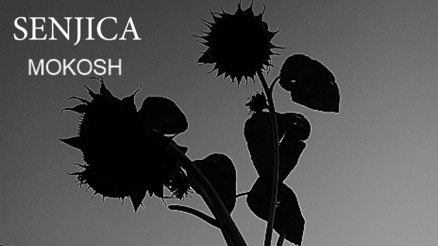 S aktualnog albuma CABARET FOLKLORICO, MOKOSH predstavlja spot za singl „Senjica“ i dva remixa iste pjesme!