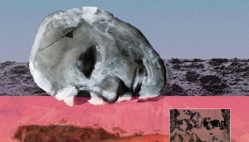 Novi album Mimike Orchestra „Medzotermina“  od danas u prodaji!