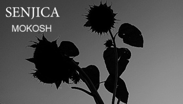 S aktualnog albuma CABARET FOLKLORICO, MOKOSH predstavlja spot za singl „Senjica“ i dva remixa iste pjesme!